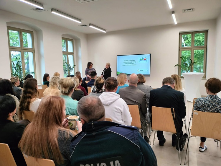 System współpracy międzyinstytucjonalnej przeciw przemocy i uzależnieniom w rodzinie